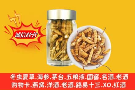 颍上县名酒回收散虫草.jpg