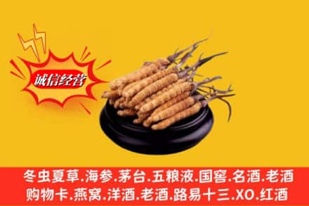 颍上县名酒回收冬虫夏草.jpg